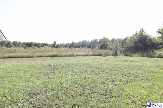 view of yard featuring a rural view