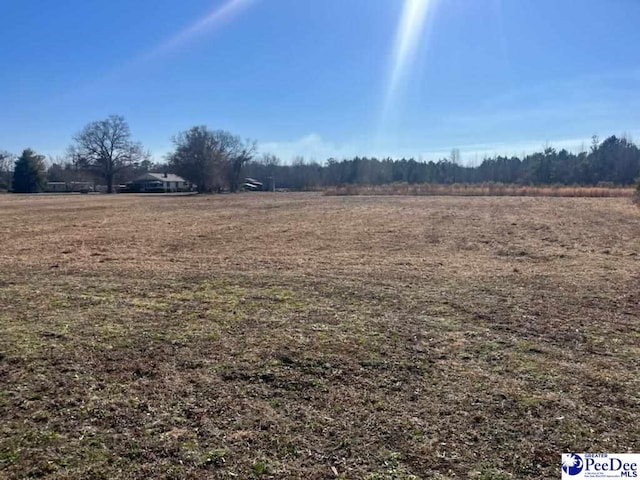 view of yard featuring a rural view