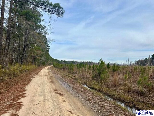 Craven Rd, Marion, SC 29571 - photo 5