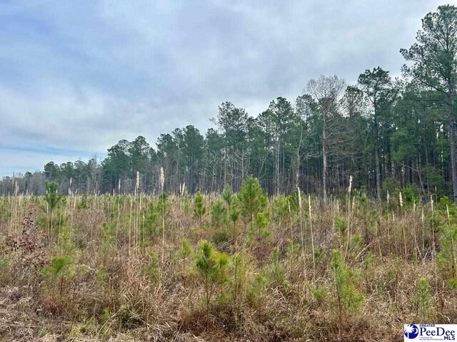 Craven Rd, Marion, SC 29571 - photo 4
