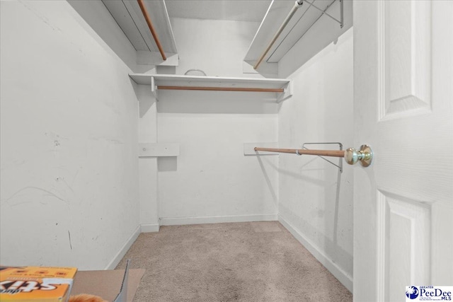 316 Magna Carta Rd, Florence, SC 29501 - spacious closet featuring carpet