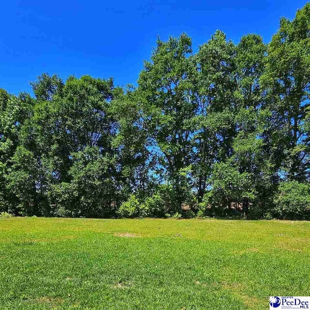 822 Twin Oaks Cir, Lake City, SC 29560 - view of green lawn