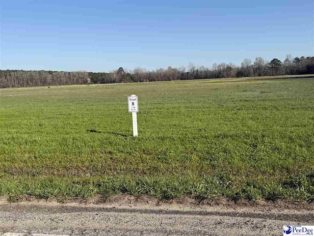2.78ACRES Darlington St, Timmonsville, SC 29161 - photo 5