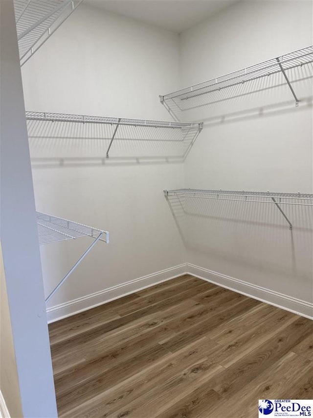 walk in closet featuring wood-type flooring