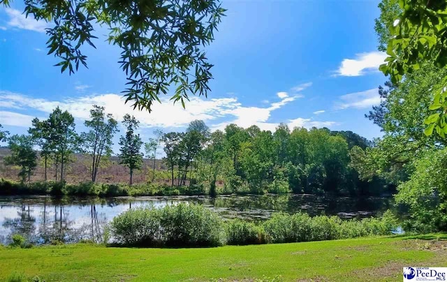 69 Ridge Rd, Cheraw, SC 29520 - photo 2