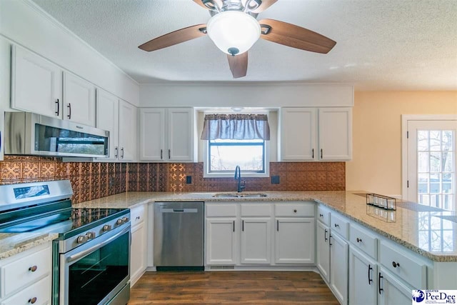 kitchen featuring plenty of natural light, appliances with stainless steel finishes, a peninsula, and a sink