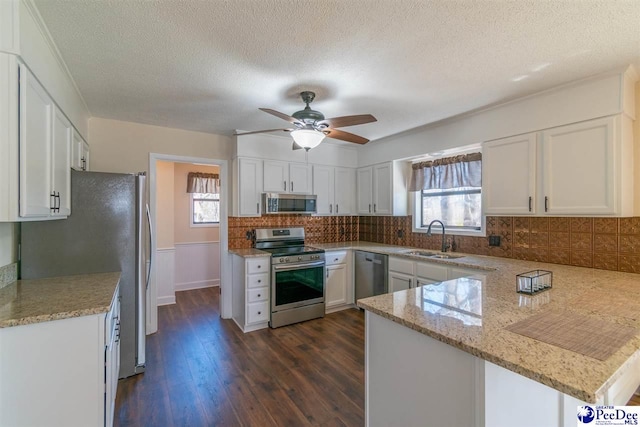 kitchen with plenty of natural light, a peninsula, stainless steel appliances, and a sink