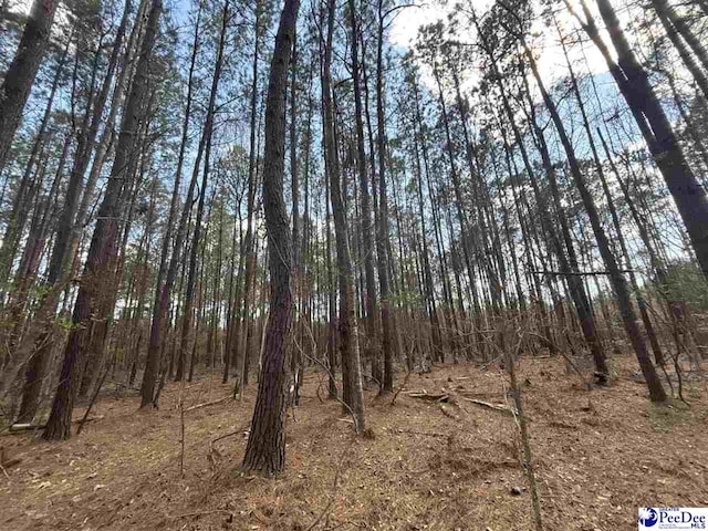 3ACRES E Springbranch Rd, Effingham, SC 29541