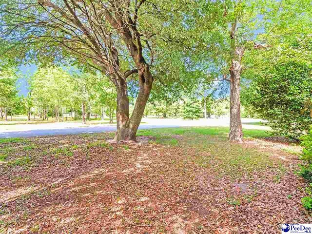 2017 Philadephia St, Darlington, SC 29532 - photo 7