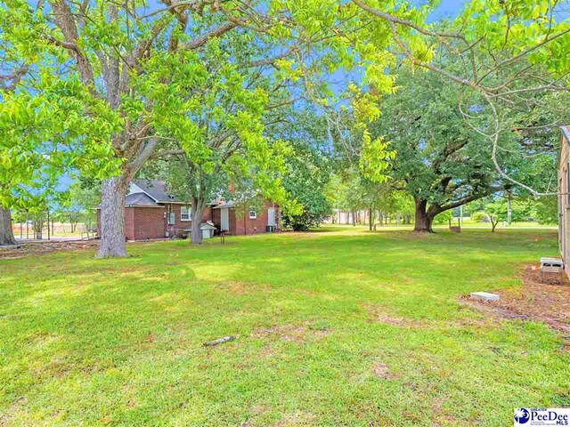 2017 Philadephia St, Darlington, SC 29532 - photo 8
