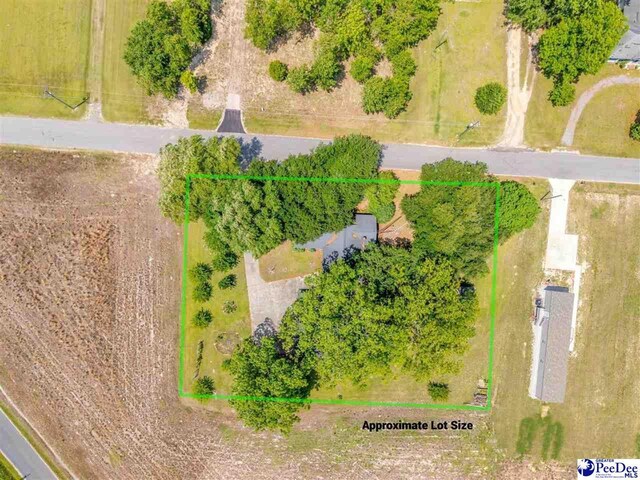 2017 Philadephia St, Darlington, SC 29532 - photo 26