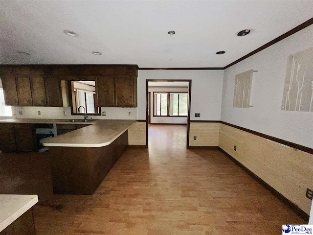 kitchen with ornamental molding, sink, and dark brown cabinetry