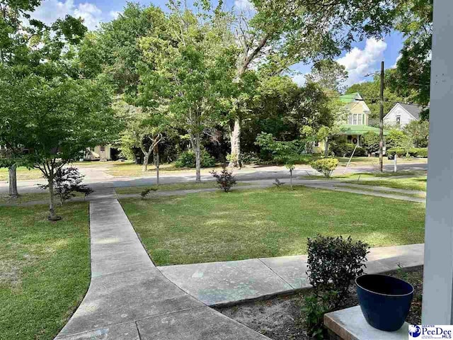 312 Harllee Pl, Marion, SC 29571 - photo 27