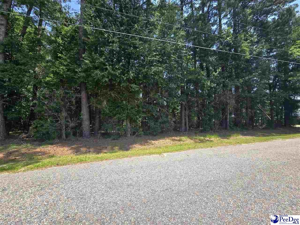 TBD Pinewood Dr, Marion, SC 29571 - photo 3