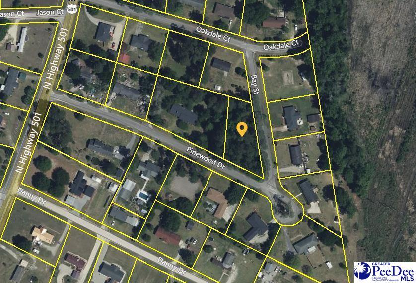TBD Pinewood Dr, Marion, SC 29571 - photo 1