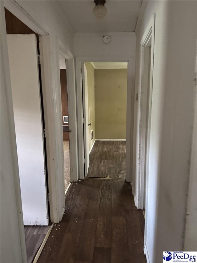 2122 Williams Gibbons Rd, Turbeville, SC 29162 - corridor featuring hardwood / wood-style floors