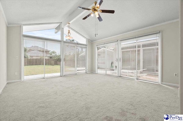 1040 Left Bank Dr, Florence, SC 29501 - unfurnished sunroom featuring crown molding, carpet floors, baseboards, and a textured ceiling