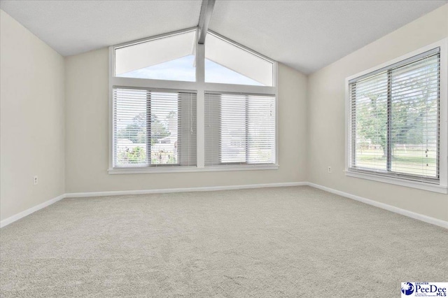 1040 Left Bank Dr, Florence, SC 29501 - unfurnished room with healthy amount of natural light, carpet flooring, and baseboards