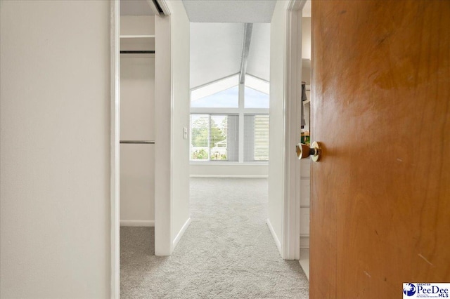 1040 Left Bank Dr, Florence, SC 29501 - corridor featuring carpet and baseboards