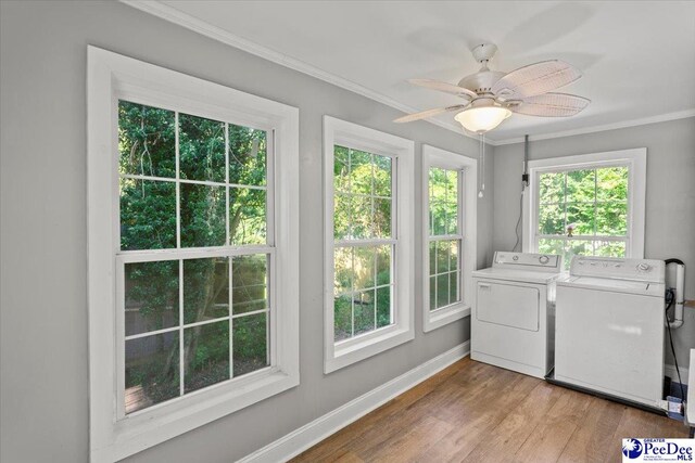 321A Park Ave, Florence, SC 29501 - photo 28