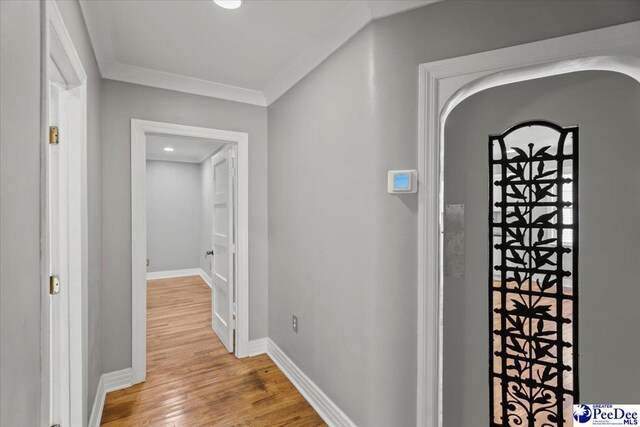 321A Park Ave, Florence, SC 29501 - photo 12