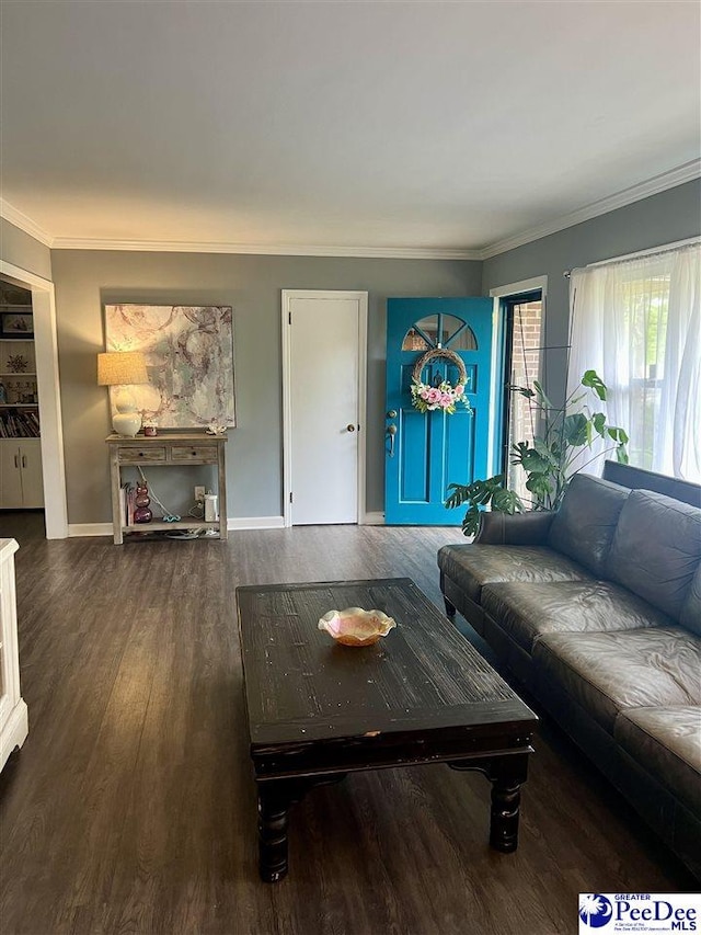 living room with baseboards, ornamental molding, and wood finished floors