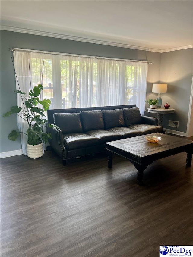 living area featuring wood finished floors, baseboards, crown molding, and a healthy amount of sunlight