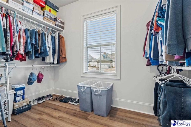 spacious closet featuring wood finished floors