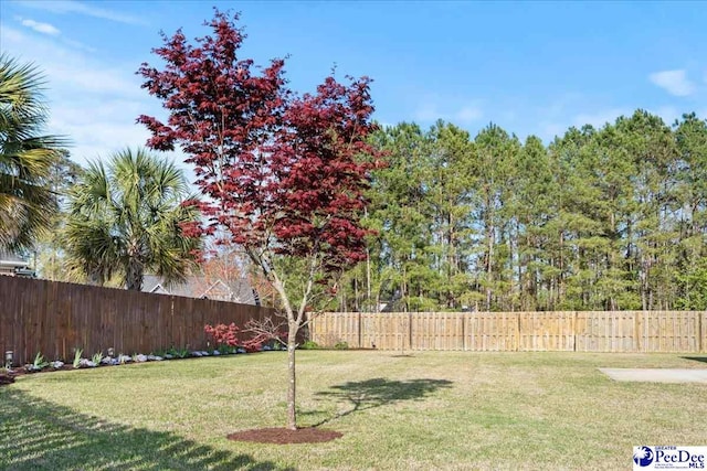 view of yard featuring a fenced backyard