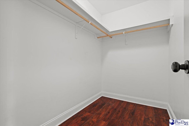 walk in closet with dark wood-style flooring