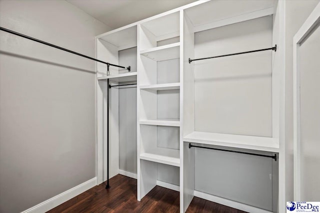 spacious closet with dark hardwood / wood-style floors