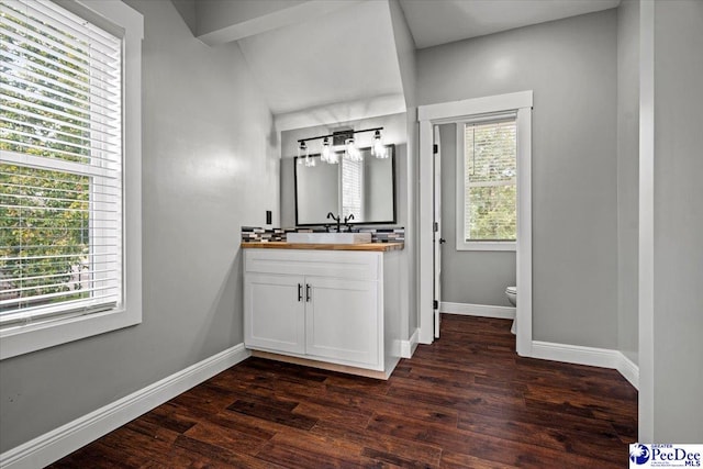 bathroom featuring vanity, hardwood / wood-style floors, and toilet