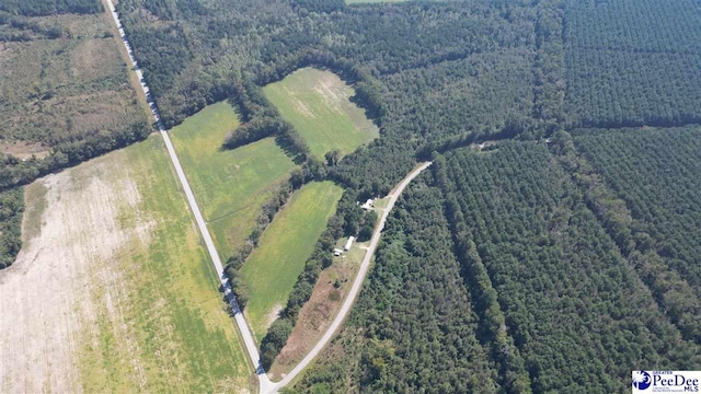 LotD Dalcho Road, Latta SC, 29565 land for sale