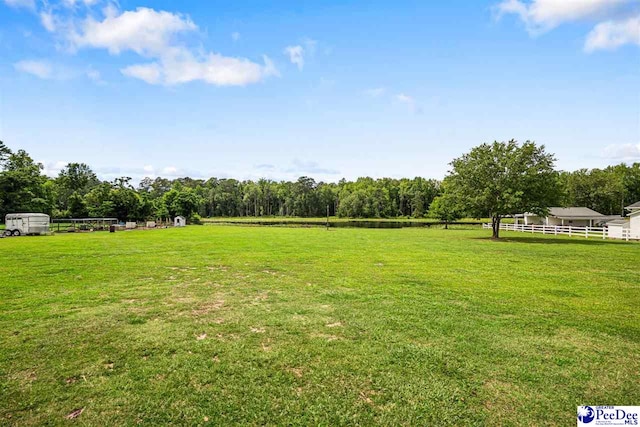 868 Moonshadow Ln, Darlington, SC 29540 - view of yard