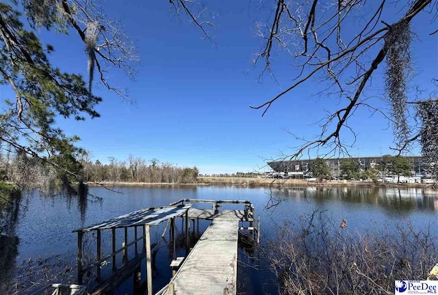 dock area featuring a water view