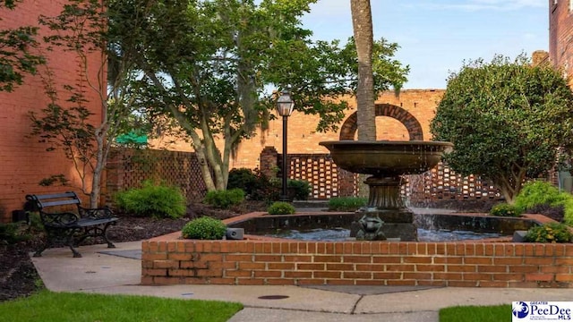 597 Strawberry Field Way, Galivants Ferry, SC 29544 - view of community with a patio area