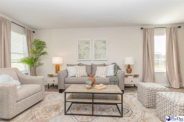 597 Strawberry Field Way, Galivants Ferry, SC 29544 - living area featuring wood finished floors, plenty of natural light, and baseboards
