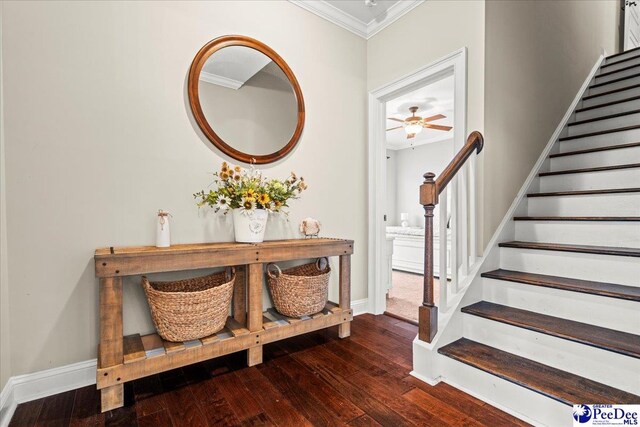 3106 Wainwright Ct, Florence, SC 29501 - stairs featuring crown molding, hardwood / wood-style flooring, ceiling fan, and baseboards
