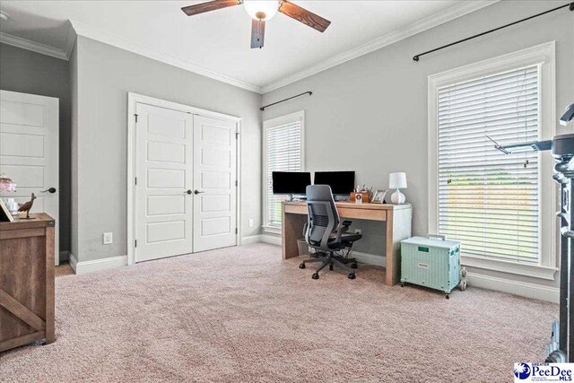 3106 Wainwright Ct, Florence, SC 29501 - carpeted office with ceiling fan, ornamental molding, and baseboards