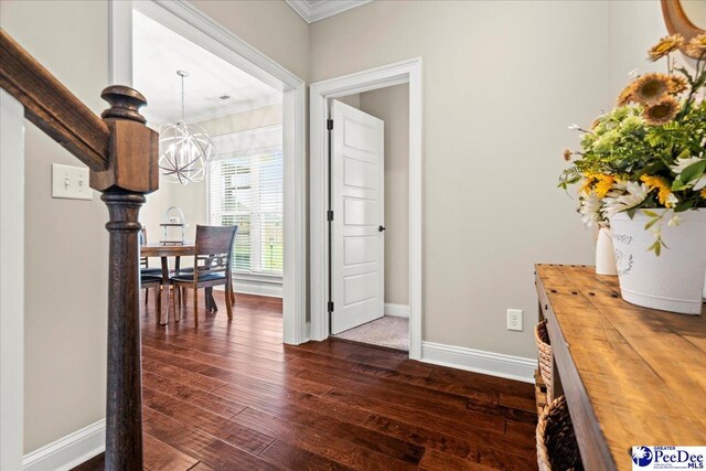 3106 Wainwright Ct, Florence, SC 29501 - hall with ornamental molding, a chandelier, dark wood-type flooring, and baseboards