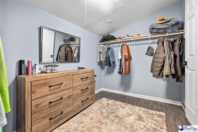 2963 Miss Annie Ct, Gresham, SC 29544 - walk in closet with dark wood finished floors and lofted ceiling