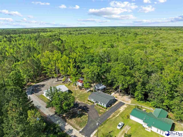 2963 Miss Annie Ct, Gresham, SC 29544 - drone / aerial view featuring a view of trees