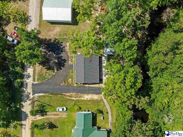 2963 Miss Annie Ct, Gresham, SC 29544 - birds eye view of property