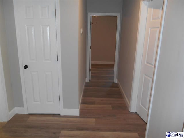 corridor with dark hardwood / wood-style floors