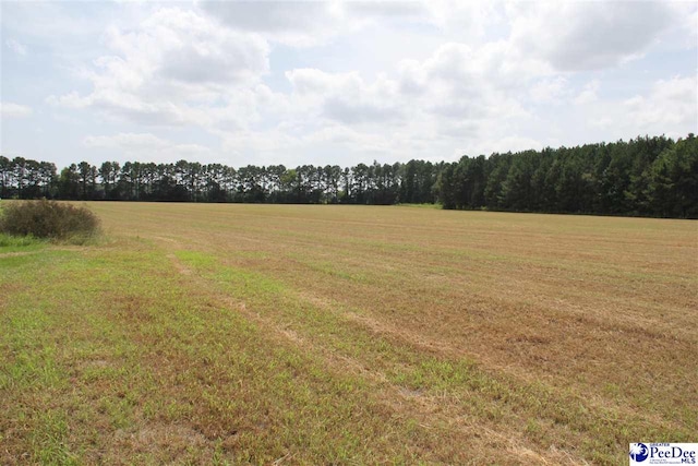 Listing photo 2 for TBD Hartsville Hwy, Hartsville SC 29550