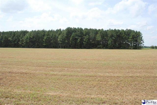 Listing photo 3 for TBD Hartsville Hwy, Hartsville SC 29550