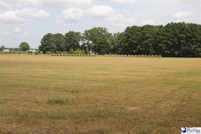 TBD Hartsville Hwy, Hartsville SC, 29550 land for sale