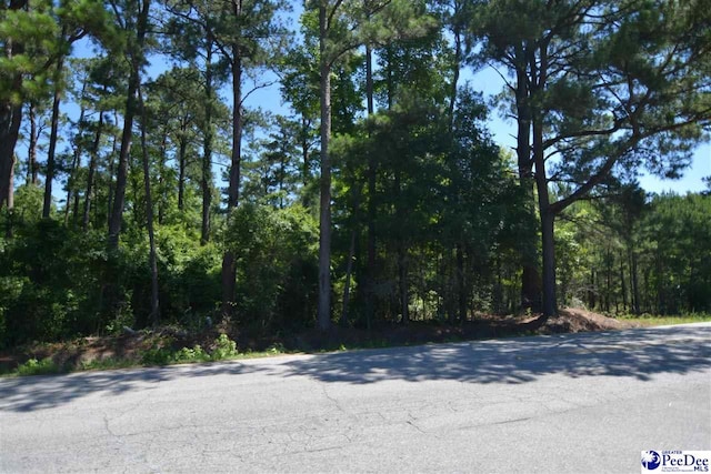 907 E Old Marion Hwy, Florence SC, 29506 land for sale