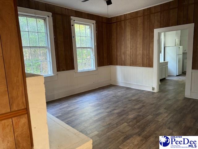 empty room featuring ceiling fan and dark hardwood / wood-style flooring