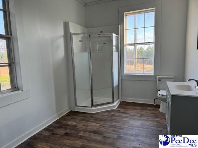 bathroom featuring vanity, toilet, hardwood / wood-style floors, and walk in shower